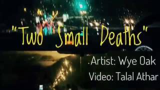 Two Small Deaths - Wye Oak [Fan Video]