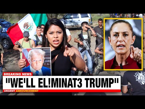 NARCO QUEEN Warns Trump As CJNG & Tijuana Cartel Form DEADLY Alliance | Senators BLAME Shienbaum