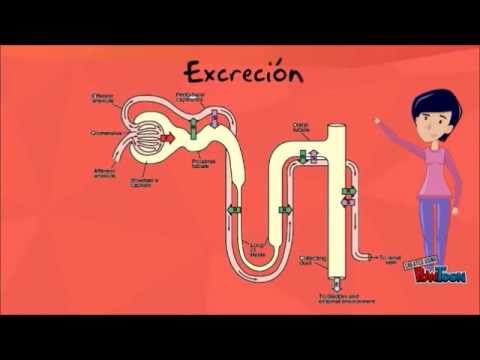 Dibazol Kosten in Russland Normolayf Hypertension über den Zähler