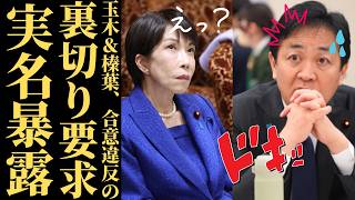 【国民民主党の闇】玉木・榛葉氏の「お代わり要求」と合意破棄の衝撃…予算成立を阻む“対決より解決”の正体とは【徹底分析・政治見解・国民の声】