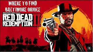 Where to find Baltimore Oriole in Red Dead Redemption 2