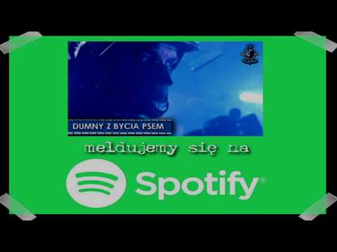 Dumny z bycia Psem - meldujemy się na Spotify