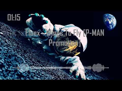Fluex - Wings To Fly