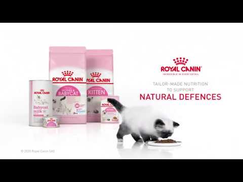 Royal Canin Kitten 10kg video