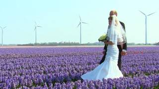 preview picture of video 'Tulip fields in Holland'