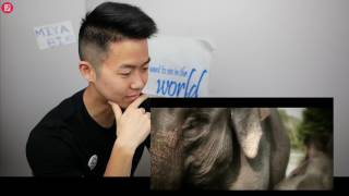 Download lagu Japanese React To TULUS - Gajah mp3 Download lagu Japanese React To TULUS - Gajah mp3