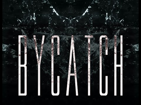 Youtube Video lshq1QEu2jU