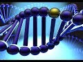 what is DNA (code of life) made of ? 
