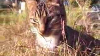 The world at your feet