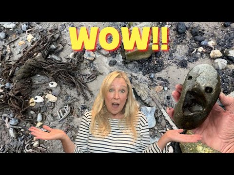 You Won’t Believe What I Found on the River Thames in Just Two Hours!