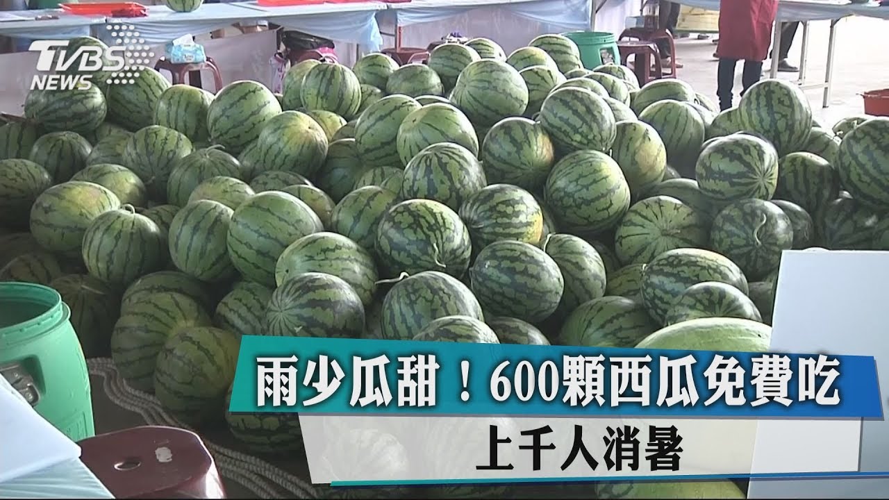雨少瓜甜！600顆西瓜免費吃　上千人消暑