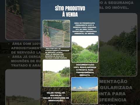 SÍTIO PRODUTIVO COM ÁGUA #sitioavenda #imovelrural #arearural #agro #agriculture