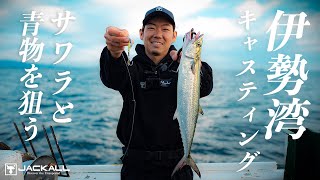 今が旬！伊勢湾キャスティングでサワラ＆青物を狙う  スリリングな1日に完全密着 / 杉山代悟