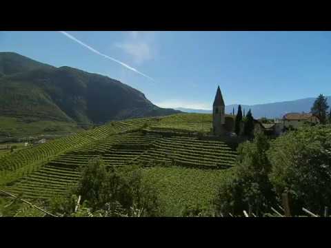 St. Magdalener Wein: Weingüter, Winzer, Weinkeller