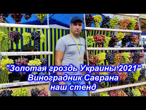Золотая гроздь Украины 2021 - обзор нашего стенда
