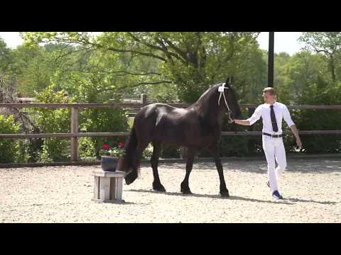 Locatiekeuring 8-5-2020 Trainingsstal Minkema – Schreuder