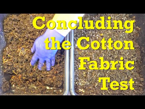 End of cotton fabric composting test in red wiggler worm bins on day 151 - vermicompost
