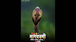 Download lagu NagPanchami 🐍 special WhatsApp status belche nagin nighali 🙏.......... mp3