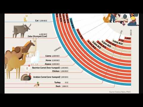 The Domestication of Animals, Timeline