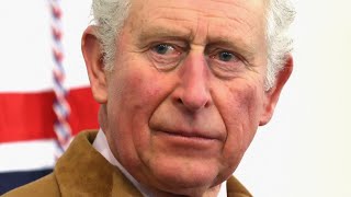 Royal Expert Predicts That Charles Has A Savage Diss For Harry