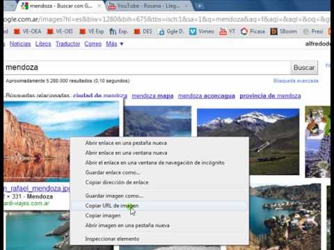 Video Tutorial sobre Wiki.mp4