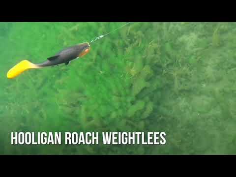 Hooligan Roach Kanalgratis riged on The System