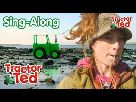 Come Bye 🐶 | Tractor Ted Sing-Along 🎶 | Tractor Ted Official Channel