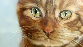 Download lagu Realistic cat painting using an airbrush. Almost finished. 🎨 mp3 Download lagu Realistic cat painting using an airbrush. Almost finished. 🎨 mp3