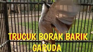 Download lagu trucuk borak barik borok cikrok Khas Pekalongan mp3
