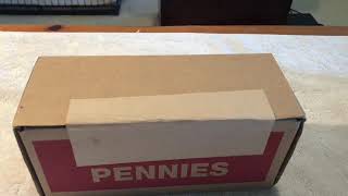 Fun Penny Hunt!- Tons of Foreign Coins Found!