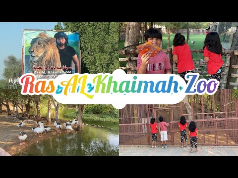 RAK Zoo part 1 | Ras Al Khaimah wild life park | kids videos