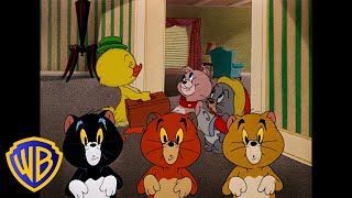 Tom & Jerry in italiano 🇮🇹 | I cuccioli più carini! 🐣🐱🐶 | @WBKidsItaliano​