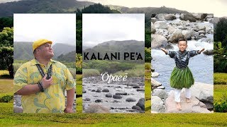 Kalani Peʻa- ʻŌpae Ē (Opae e) - OFFICIAL MUSIC VIDEO