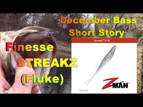 Z-Man STREAKZ (Finesse Fluke)