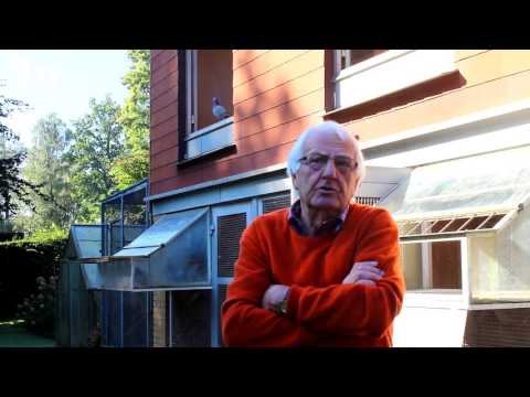 Wolfgang Roeper Interview Part 15/26 Zuchttauben & Freiflug (Brieftauben)