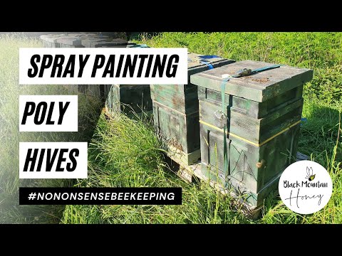 Painting Beehives