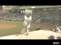 mascot falls off dugout video