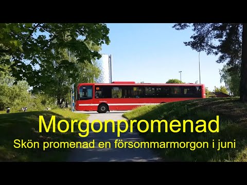2021-06-02 MORGONPROMENAD - Skön promenad en försommarmorgon i juni ( arbetsvideo )