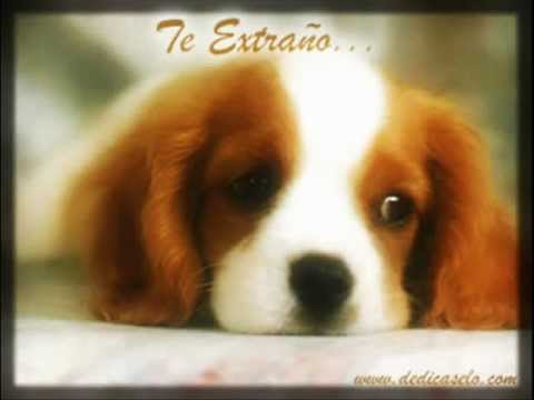 Pienso en ti - Rkm y ken y ft Eloy - Yessica.wmv