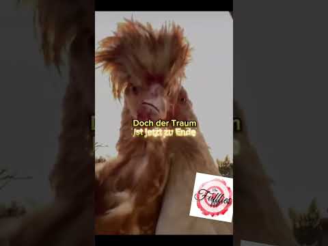 Die Fufffies Alktraum #youtubeshorts #viralsound #chickendance #diefufffies #alktraum #party #malle