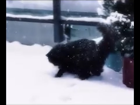 (free) sewerperson x skele x emo rap type beat "alright, next time" (prod. secre x jolst)