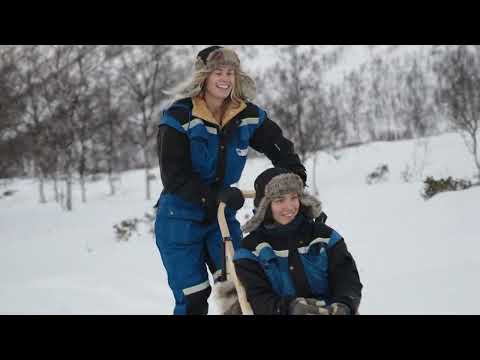 Amazing Husky Sledding in Camp Tamok, Tromsø
