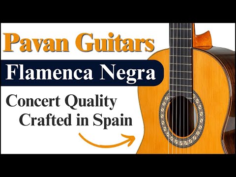 Pavan Flamenca Negra Classical Guitar Cedar *Kaces Deluxe guitar case Included* image 9