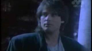 The Search is Over - Survivor