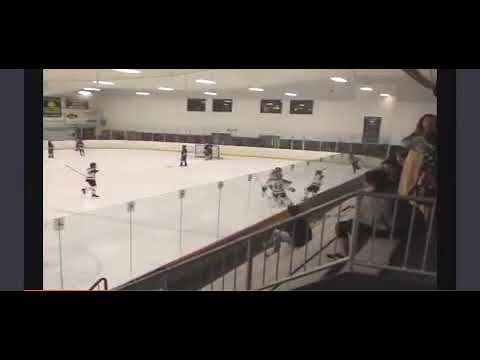 Carson Mitchell @carson mitchell15 2006, F:L, #7, St  Louis AAA Blues