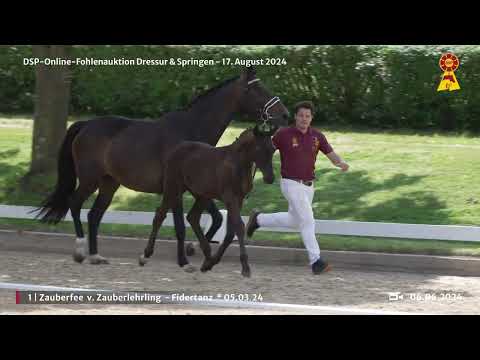 Lot 37 v. Zauberlehrling PS / Fidertanz