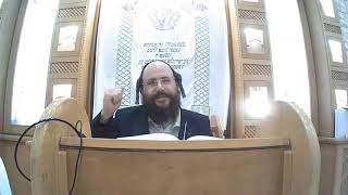 זרע שמשון פרשת תולדות תשפה הרב יצחק ליכטנשטיין ביהכנס גאולת ישראל נס ציונה