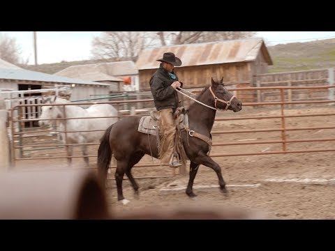 Rodeo Cold Beer - Official Video