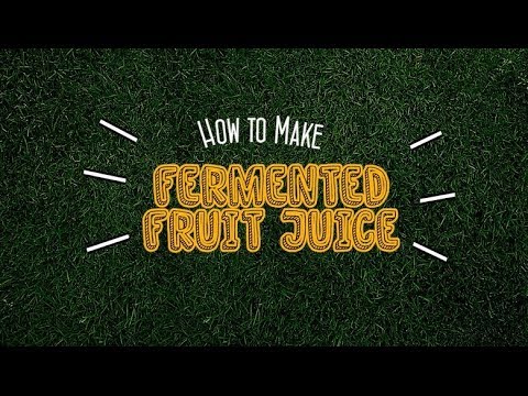 download lagu mp3 mp4 How To Make Fermented Juice, download lagu How To Make Fermented Juice gratis, unduh video klip How To Make Fermented Juice