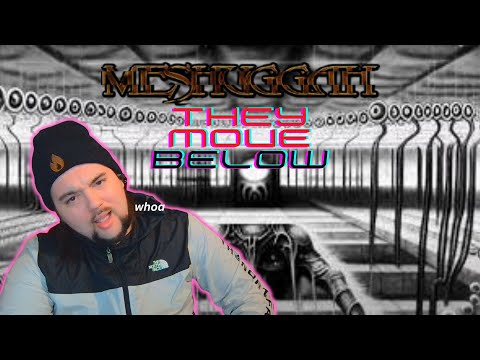 "They Move Below" by Meshuggah -- Drummer reacts! *Ok this was crazy lol*